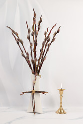 Similar image 22494236