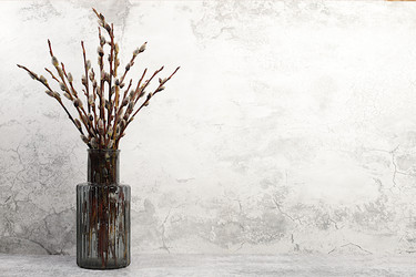 Similar image 22494251