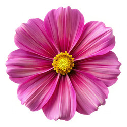 Similar image 22495936