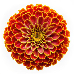 Similar image 22496387