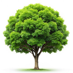 Similar image 22496701