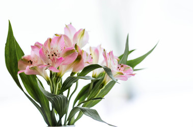 Similar image 22494444