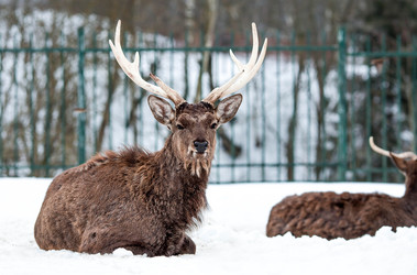 Similar image 22494615