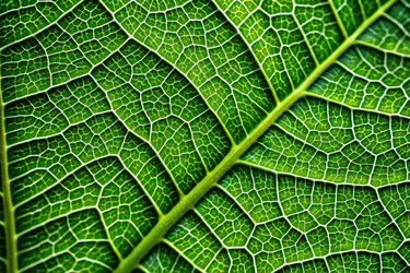 Similar image 22496073