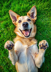 Similar image 22496597