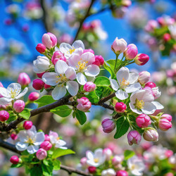 Similar image 22496058