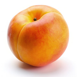 Similar image 22496090