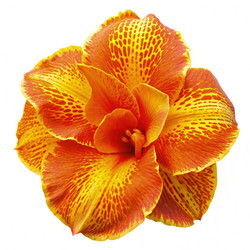 Similar image 22496091