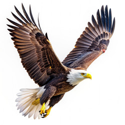 Similar image 22496300