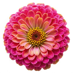 Similar image 22496674