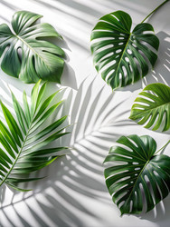 Similar image 22496705