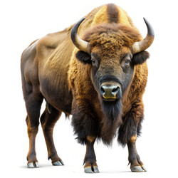 Similar image 22496855