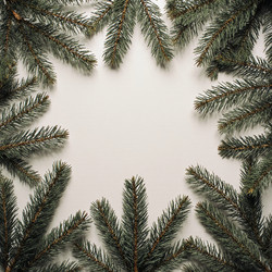 Similar image 22554111