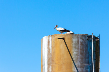 Similar image 22497571