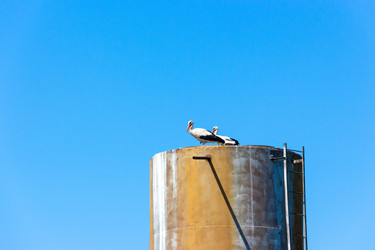 Similar image 22497572