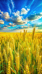 Similar image 22496570