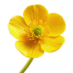 Similar image 22496585