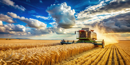 Similar image 22496945