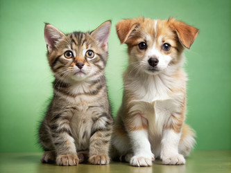 Similar image 22496976