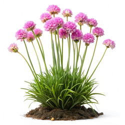 Similar image 22495640