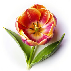 Similar image 22495668