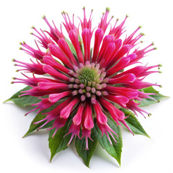 Similar image 22495880