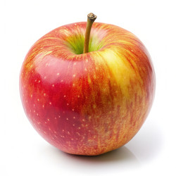 Similar image 22496012