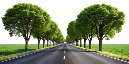 Similar image 22496213