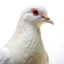 Similar image 22496214