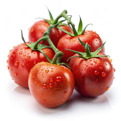 Similar image 22496272