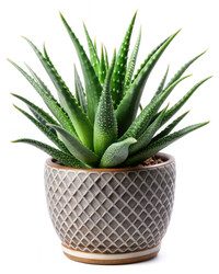 Similar image 22496437