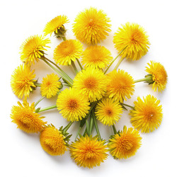 Similar image 22496739