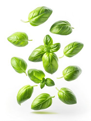 Similar image 22496888