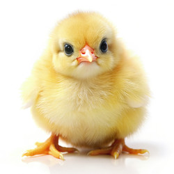 Similar image 22494191