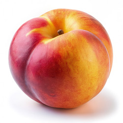 Similar image 22495733