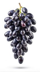 Similar image 22495869