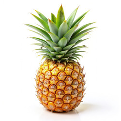 Similar image 22495899