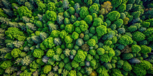 Similar image 22496018