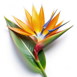 Similar image 22498309