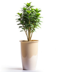 Similar image 22498486