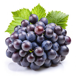 Similar image 22498518