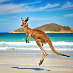 Similar image 22498552