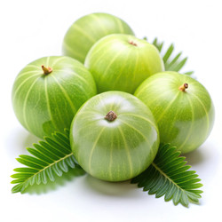 Similar image 22498580