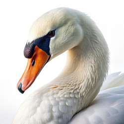 Similar image 22498582