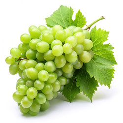 Similar image 22498177