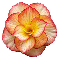 Similar image 22498223