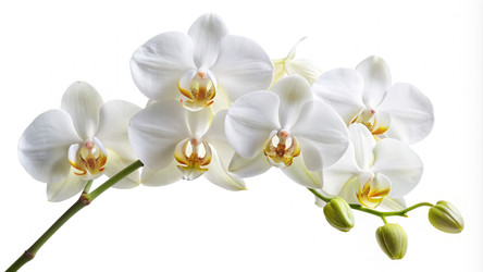 Similar image 22498232