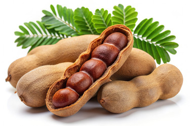 Similar image 22498235