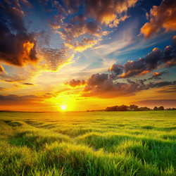 Similar image 22498258