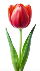 Similar image 22498408